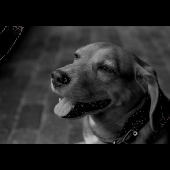 Meet your Posher, Jennifer - Picture 1 of 1